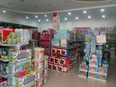 加入淘淘虎玩具 掌握兒童早教玩具知識(shí)與銷售技巧，共贏財(cái)富未來(lái)